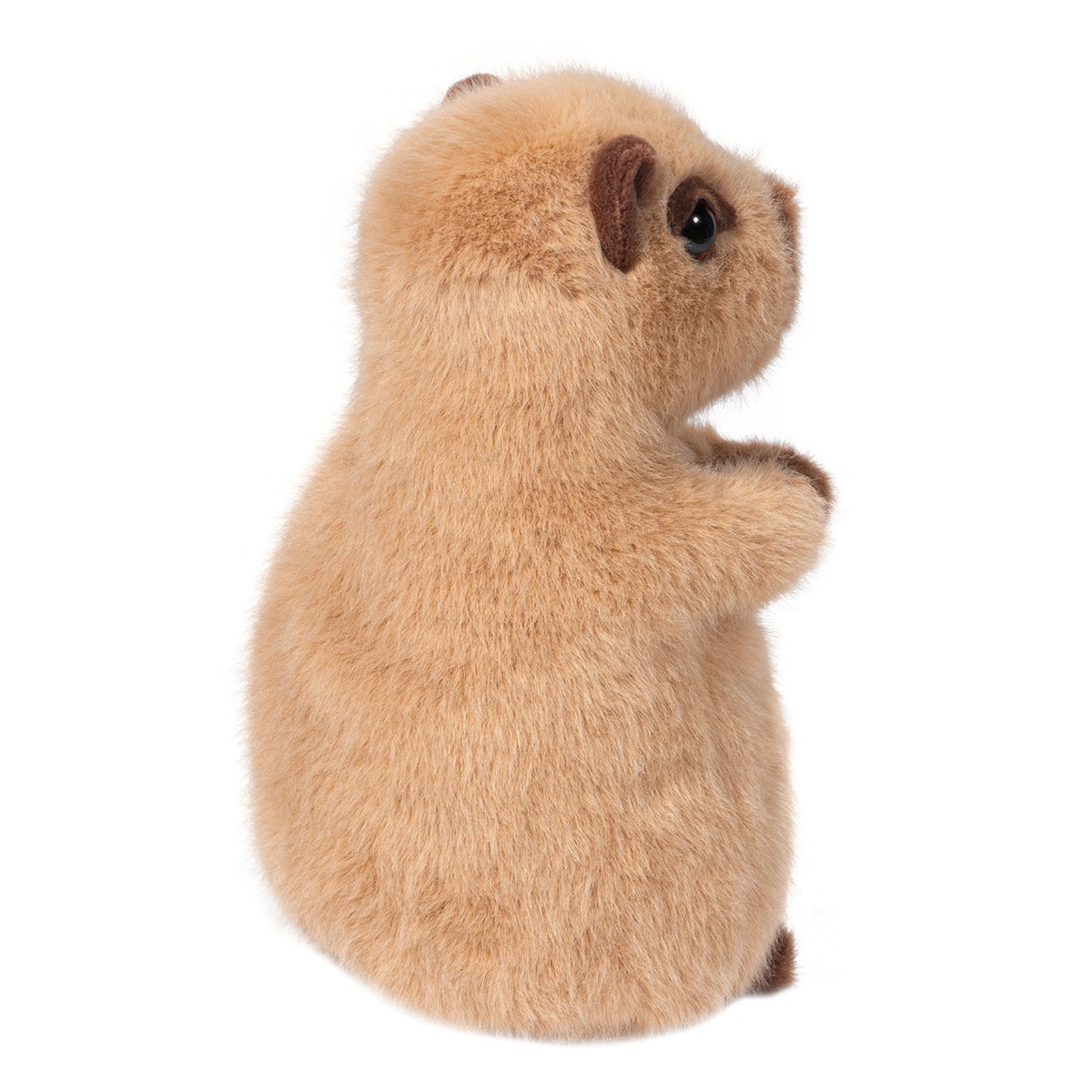 Plush toy of a small capybara on a white background