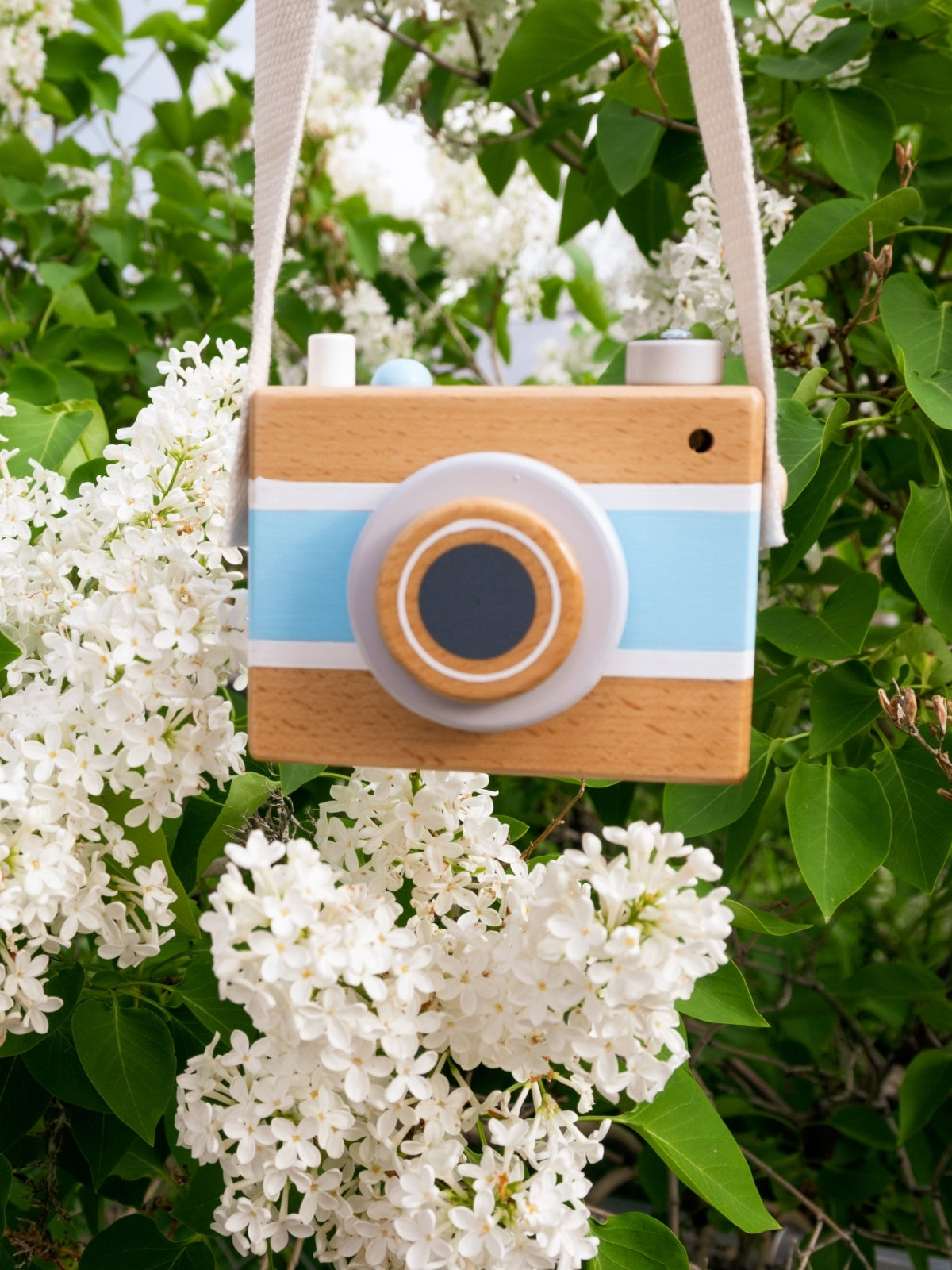 Wooden Vintage Camera Music Box: Pink or Blue