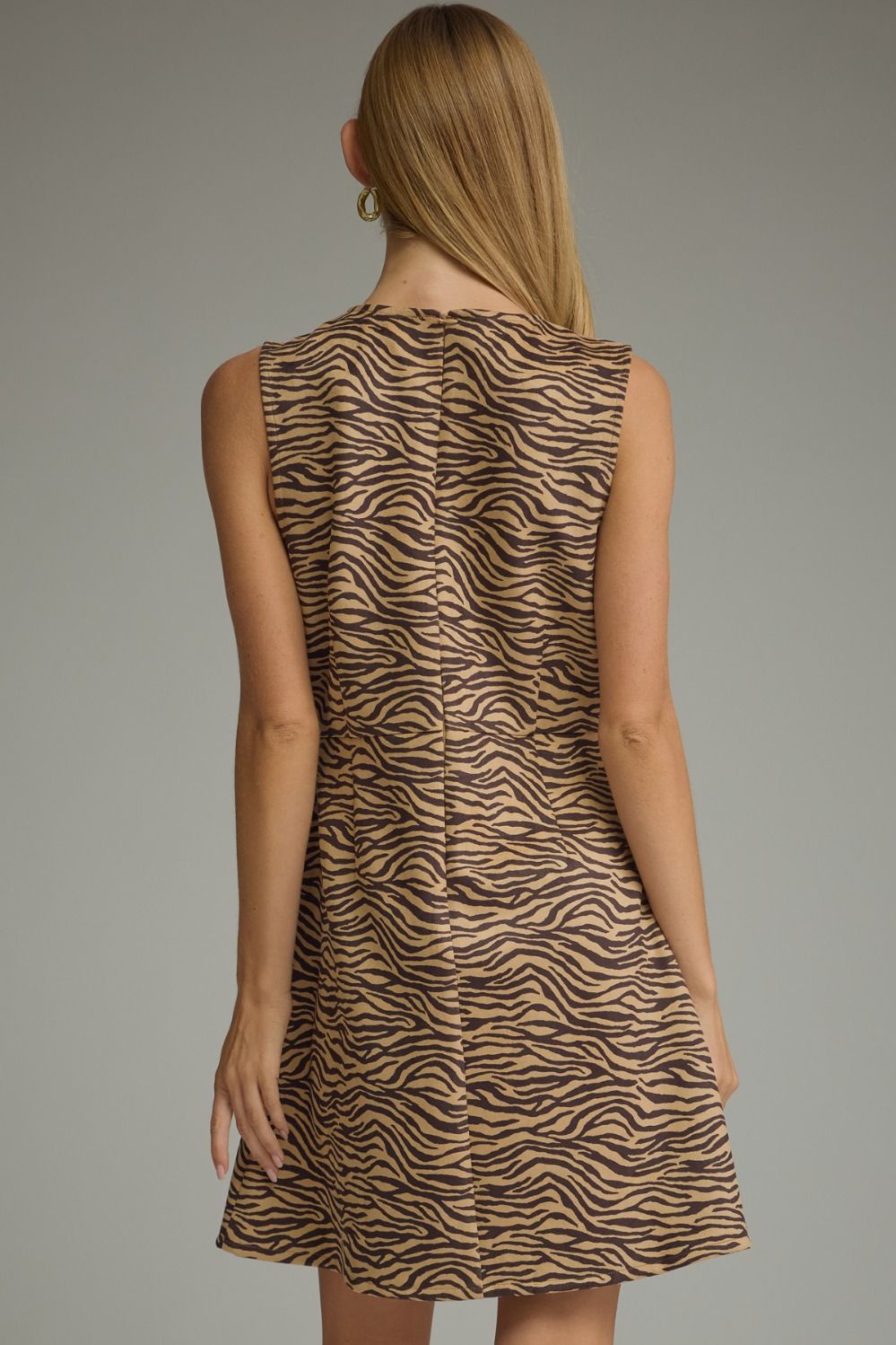 Wild Side Zebra Dress