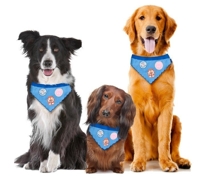 Boutique dog best sale bandana