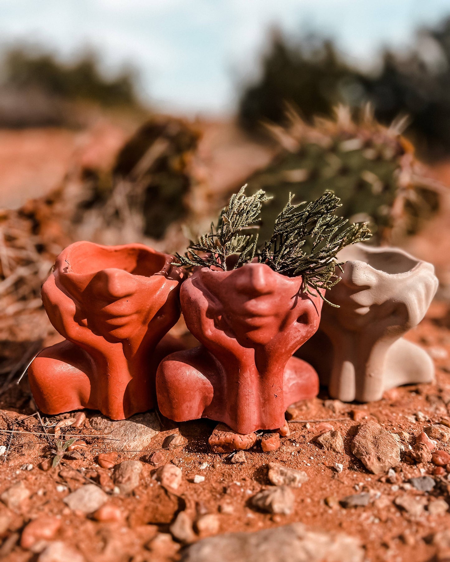 Daydaydreamer Concrete Vase: Terracotta