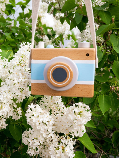 Wooden Vintage Camera Music Box: Pink or Blue