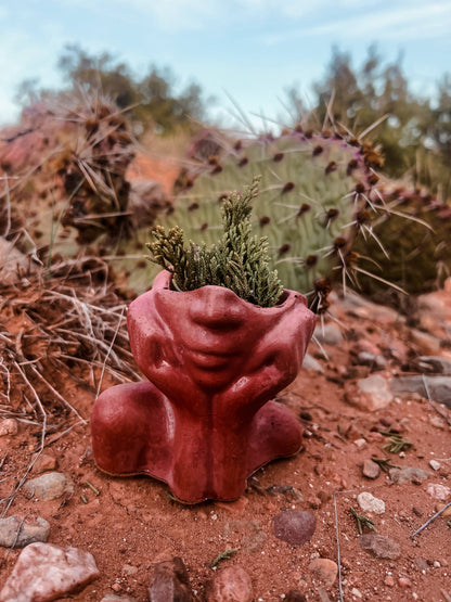 Daydaydreamer Concrete Vase: Terracotta