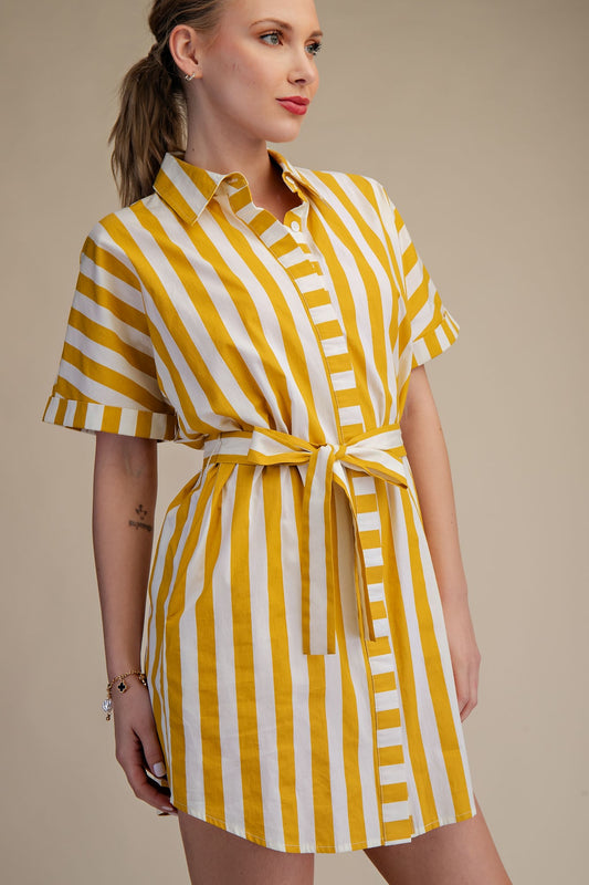 The Golden Hour Stripe Shirt Dress - Milo & Lily Boutique